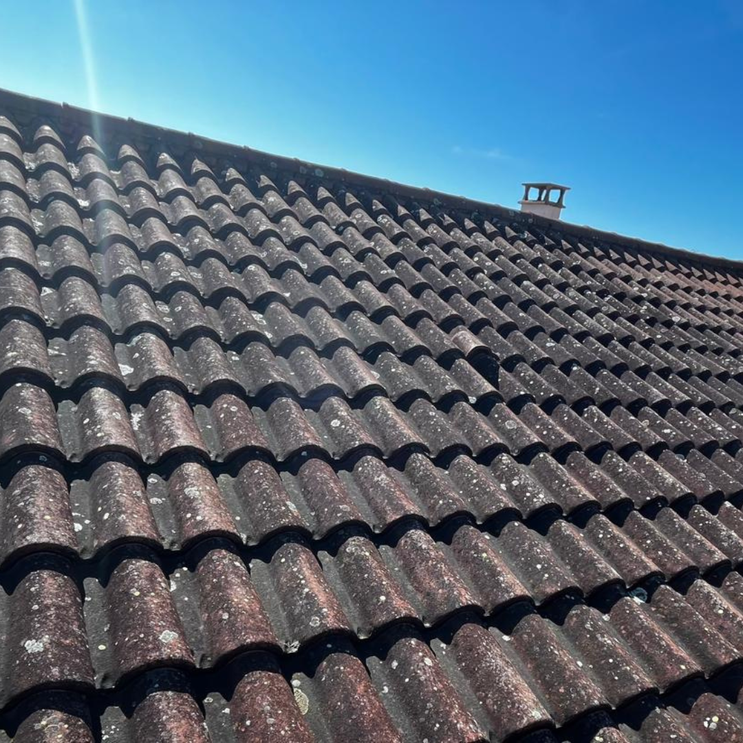 Toiture avant traitement RenoTuiles